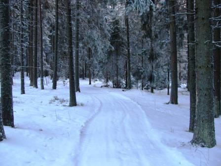 Durch wunderschöne Waldviertler Wälder