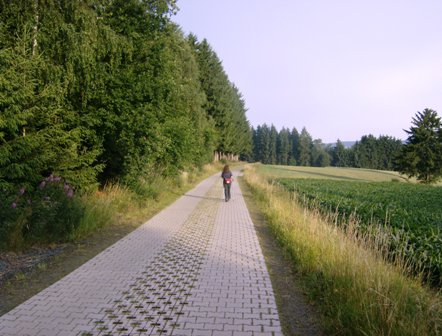 Schn gepflasterter Weg entlang des Waldes
