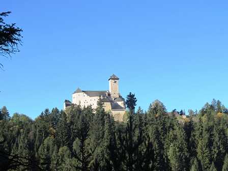 Schner Blick zur Burg Rappottenstein