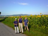 Die Wanderfreunde vor einem blhenden Sonnenblumenfeld