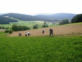 Marathon-Wanderer in der Landschaft um Nebelberg