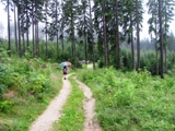 Wanderer im Weinsbergerwald