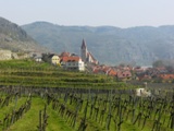 Fernblick auf Weienkirchen in der Wachau