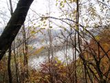 Blick zur Donau von Erholungwald Krnberg aus
