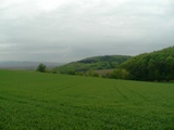 Blick über die Hügel um Bischofstetten