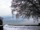Blick auf den Attersee