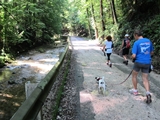 Die Wanderfreunde entlang der Alm